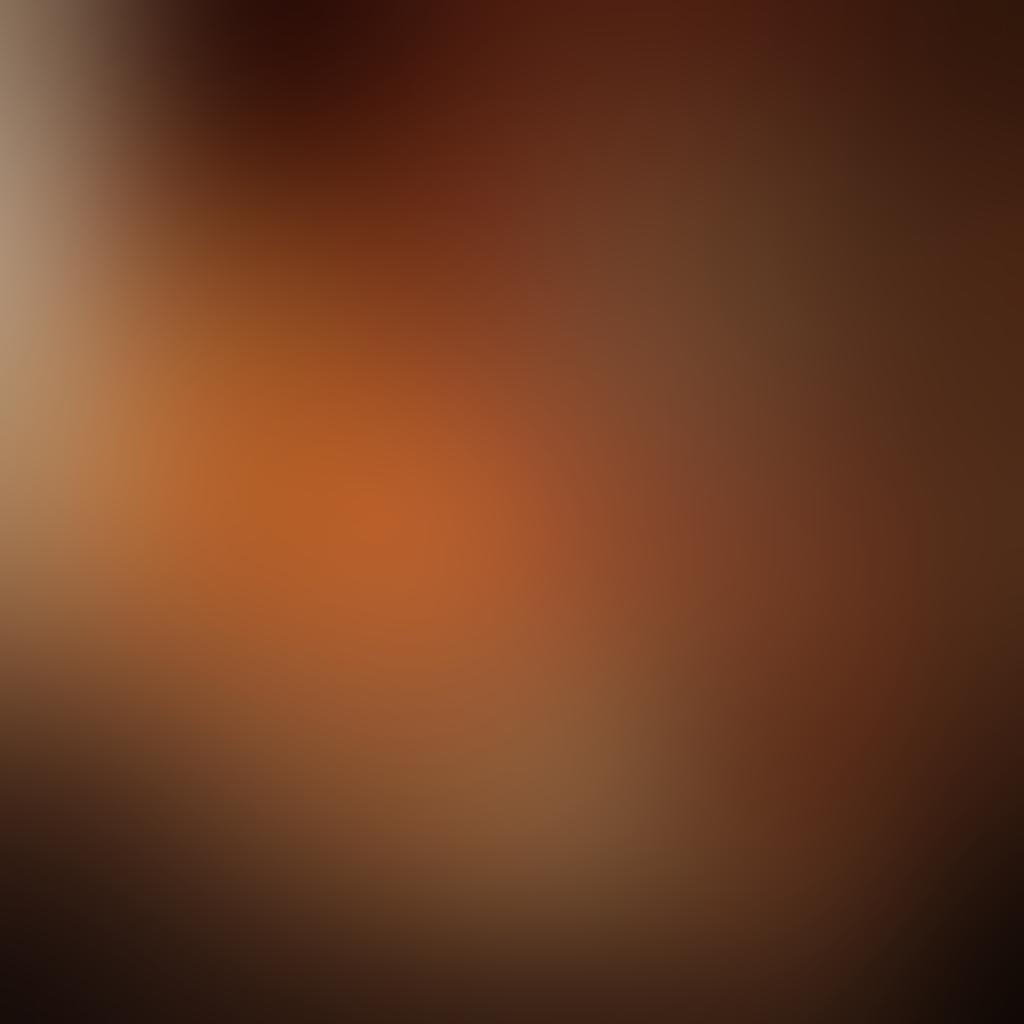 An artistic visual representation of the journey from erotic storytelling to adult films, featuring a vintage book transforming into a modern film reel. The background blends elements of a cozy reading nook with a film set, both infused with soft, warm lighting. The transition represents sensuality and intimacy, with subtle hints of technology, like streaming icons. Use rich, inviting colors to create a captivating atmosphere. super-realistic. vibrant colors. cinematic style.